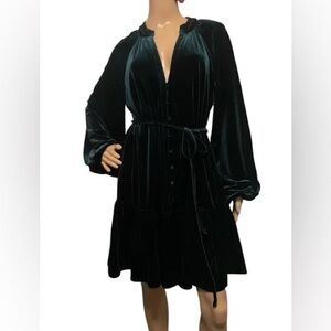 Alex Marie Wren Velvet Long Balloon Sleeve Button Front Midi Dress